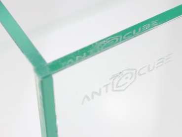 ANTCUBE - Arena 20x20x20 - Würfel